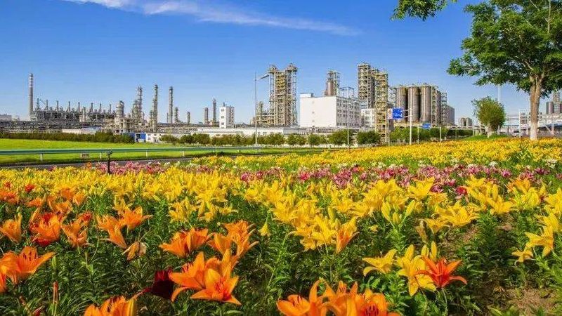 塑料原料选厂，别只看价格单上的数字